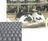 Textures variables noires de tapis stables en caoutchouc de cheval/vache sur le principal 3mm profondément mn.